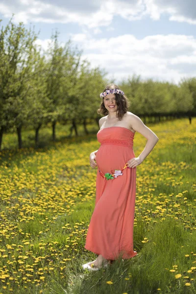 Mulher Grávida Bonita Jardim Primavera Entre Dente Leão Florescendo — Fotografia de Stock