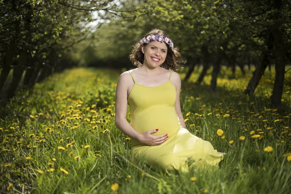 Vacker Gravid Kvinna Vårträdgård Bland Blommande Maskrosor — Stockfoto