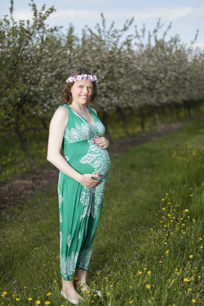 Mooie Zwangere Vrouw Lentetuin Tussen Bloeiende Paardebloemen — Stockfoto