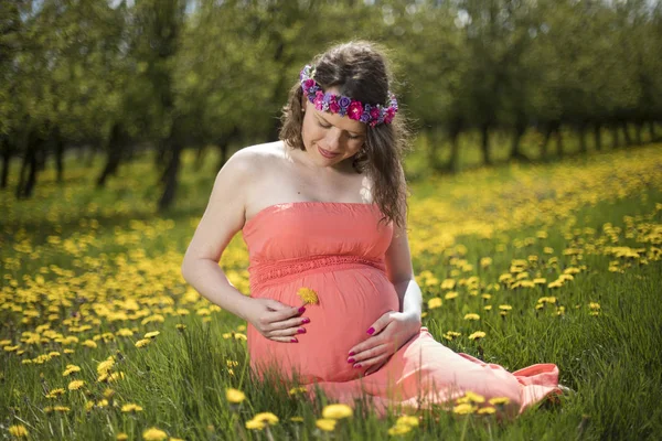 Hermosa Mujer Embarazada Jardín Primavera Entre Los Dientes León Flor — Foto de Stock