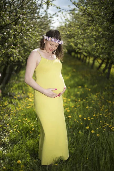 Mooie Zwangere Vrouw Lentetuin Tussen Bloeiende Paardebloemen — Stockfoto