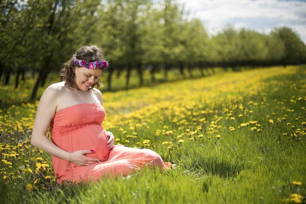 Hermosa Mujer Embarazada Jardín Primavera Entre Los Dientes León Flor —  Fotos de Stock