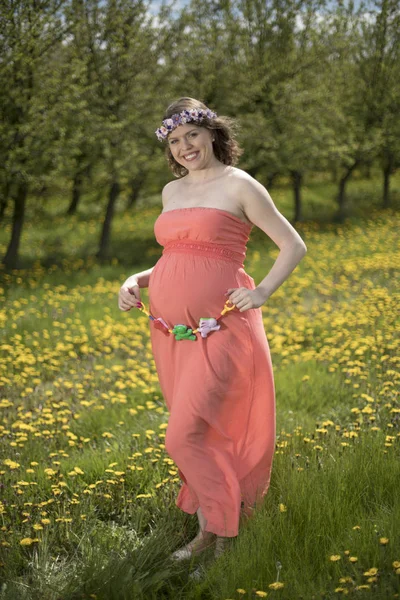 Piękna Kobieta Ciąży Spring Garden Wśród Kwitnące Mlecze — Zdjęcie stockowe