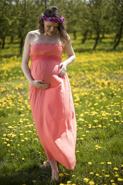 Belle Femme Enceinte Dans Jardin Printemps Parmi Les Pissenlits Fleurs — Photo