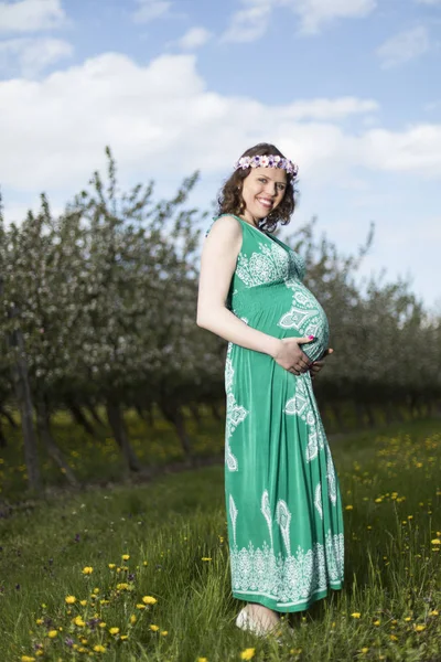 Mooie Zwangere Vrouw Lentetuin Tussen Bloeiende Paardebloemen Stockfoto