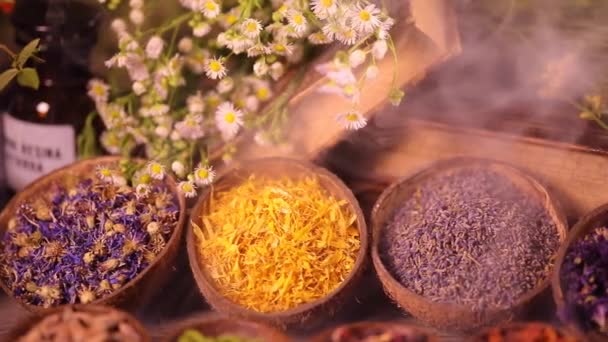 Variety Aromatic Spices Herbs Kitchen Table — Stock Video