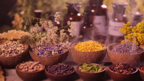 Różnorodność Aromatycznych Przypraw Ziół Stole Kuchennym — Wideo stockowe