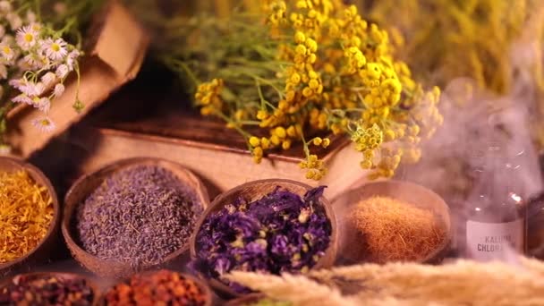 Variété Épices Aromatiques Herbes Sur Table Cuisine — Video