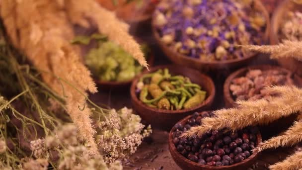 Variedade Especiarias Aromáticas Ervas Mesa Cozinha — Vídeo de Stock