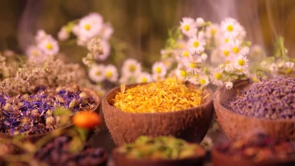 Mängd Aromatiska Kryddor Och Örter Köksbordet — Stockvideo
