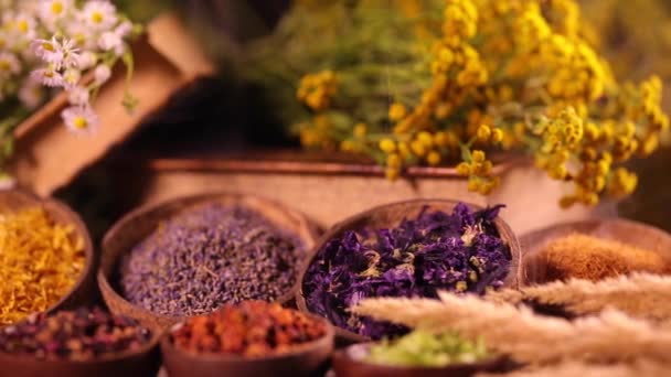 Mängd Aromatiska Kryddor Och Örter Köksbordet — Stockvideo