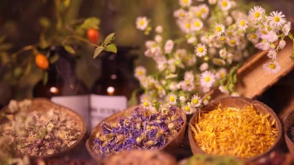Variété Épices Aromatiques Herbes Sur Table Cuisine — Video