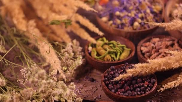 Variety Aromatic Spices Herbs Kitchen Table — Stock Video