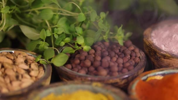 Variété Épices Aromatiques Herbes Sur Table Cuisine — Video