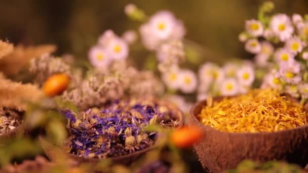 Verscheidenheid Van Aromatische Specerijen Kruiden Keukentafel — Stockvideo