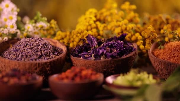 Verscheidenheid Van Aromatische Specerijen Kruiden Keukentafel — Stockvideo