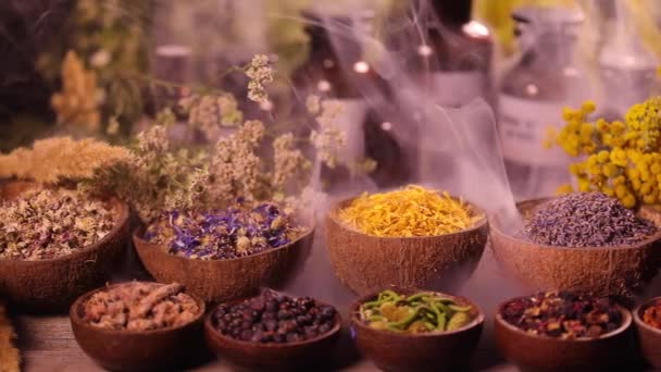 Variety Aromatic Spices Herbs Kitchen Table — Stock Video