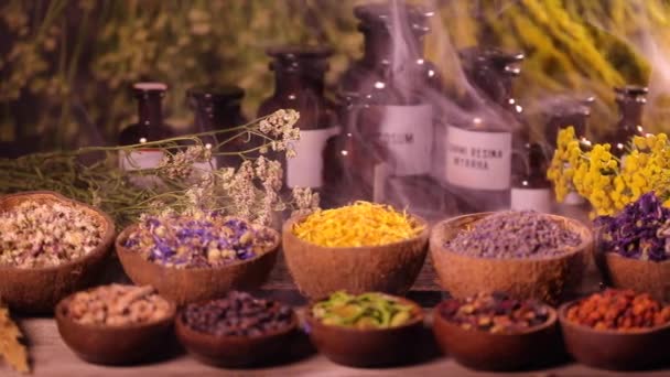 Variety Aromatic Spices Herbs Kitchen Table — Stock Video