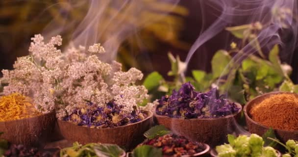 Verscheidenheid Van Aromatische Specerijen Kruiden Keukentafel — Stockvideo