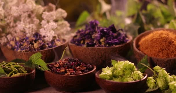 Různé aromatické koření a byliny na kuchyňském stole