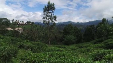 Yeşillik ve bulutlu gökyüzü şaşırtıcı doğa manzaralı
