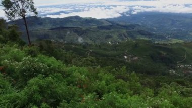 Yeşillik ve bulutlu gökyüzü şaşırtıcı doğa manzaralı