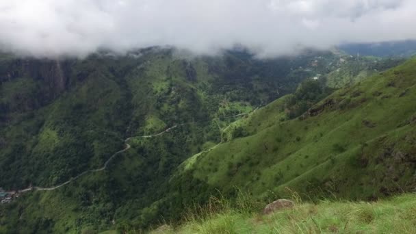 Vue imprenable sur la nature avec verdure et ciel nuageux 
