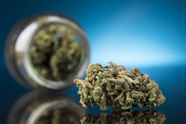 Tıbbi marihuana, esrar, cbd kavramı