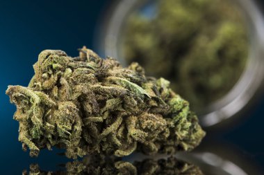Tıbbi marihuana, esrar, cbd kavramı