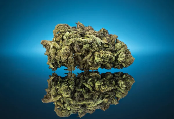Cbd Concept Medical Marijuana Cannabis Och Blå Bakgrund — Stockfoto