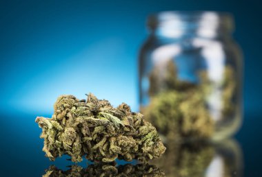 Tıbbi marihuana, esrar, cbd kavramı