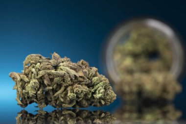 Tıbbi marihuana, esrar, cbd kavramı