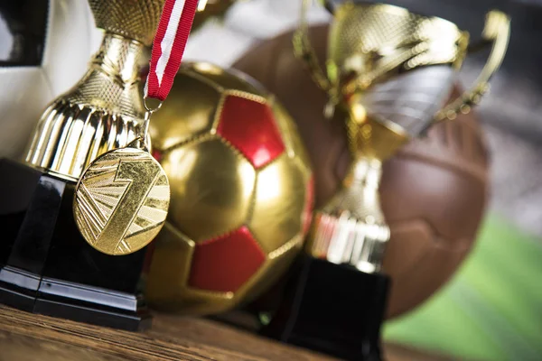 Winner Trophy Sport Equipment Balls — Stock Photo, Image