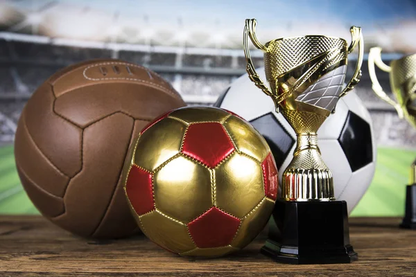 Troféu Vencedor Equipamento Desportivo Bolas — Fotografia de Stock