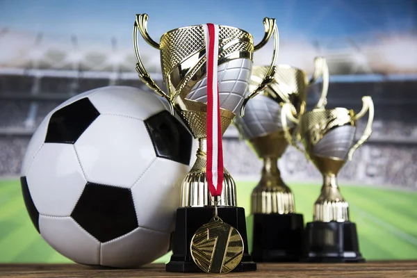 Troféu Vencedor Equipamento Desportivo Bolas — Fotografia de Stock