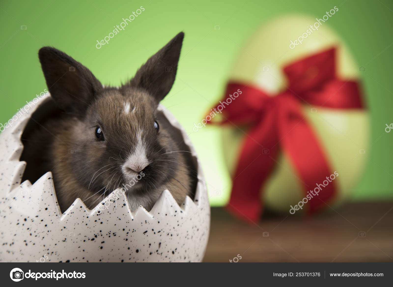 Petit Lapin Bebe Mignon Paques Image Libre De Droit Par Janpietruszka C Petit Lapin Bebe Mignon Paques Image Libre De Droit Par Janpietruszka C