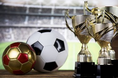 Kazanan kupa, spor malzemeleri ve toplar.