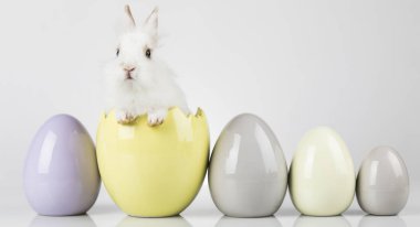 Küçük şirin bebeği tavşan ve Paskalya yumurta, beyaz arka plan