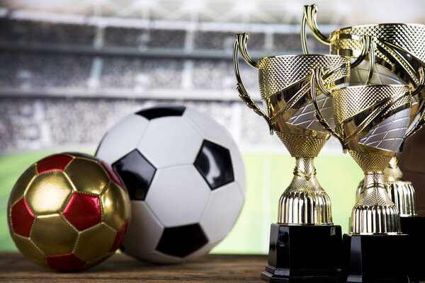 Трофей победителя, спортивное оборудование и мячи