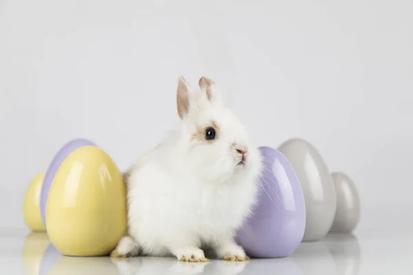 작은 귀여운 아기 토끼와 부활절 달걀, 흰색 배경 — 스톡 사진