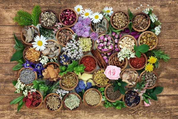 Medicina Herbal Com Ervas Especiarias Flores Usadas Remédios Alternativos Chineses — Fotografia de Stock