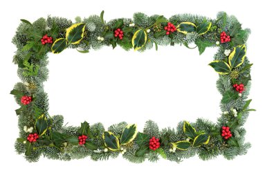 Winter and Christmas background border with flora of holly, snow covered spruce fir, ivy, mistletoe and cedar leaves isolated on white. clipart