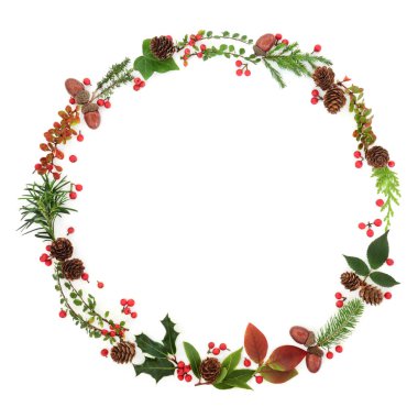 Doğal kış ve Noel çelenk yaprağı dal, holly Karpuzu, çam kozalakları, meşe palamudu ve bitkiler beyaz arka plan üzerinde garland. Festival sezonu için geleneksel Noel tebrik kartı.