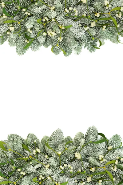 冬季和圣诞节槲寄生与雪覆盖云杉松树边界白色背景与复制空间 圣诞浪漫主题 — 图库照片
