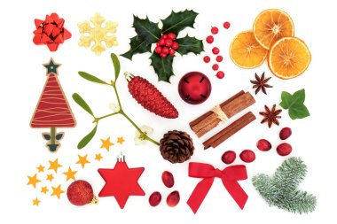 Noel koleksiyon ağacı süslemeleri, gıda, köknar, holly, sarmaşık, ökse otu ve çam kozalakları, şerit ve hediye etiketi beyaz zemin üzerine altın yıldız ile kış florası ile sembollerin.