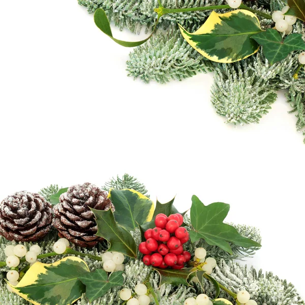 겨울과 크리스마스 테두리 스프루 아이비 소나무 바탕에 — 스톡 사진
