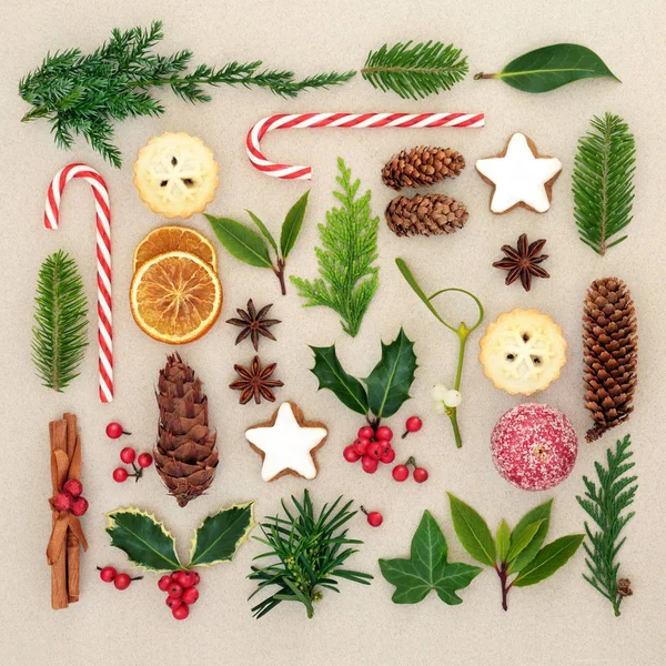 Symbole Der Weihnachtskollektion Mit Naturbelassenen Stechpalmen Und Misteln Mit Beeren — Stockfoto