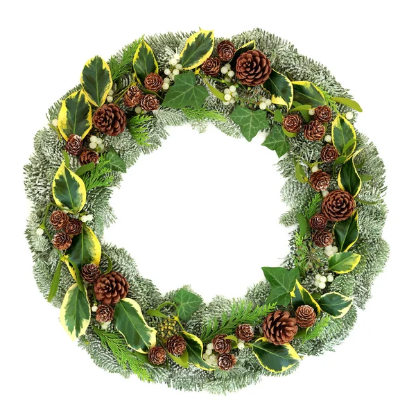 Couronne Naturelle Hiver Noël Avec Sapin Épinette Recouvert Neige Cônes — Photo