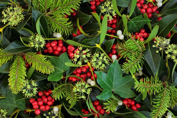 Holly Edera Vischio Natale Inverno Sfondo Verde Biglietto Auguri Natalizio — Foto Stock