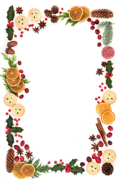 Winter Kerstmis Natuurlijke Flora Voedsel Achtergrond Grens Met Losse Bessen — Stockfoto